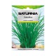 Semillas Aromaticas Cebollino (1 gramo) Horticultura, Horticola, Semillas Huerto.